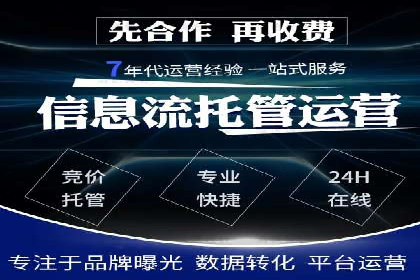 SEM投放策略优化案例分析